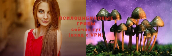 амфетамин Белокуриха