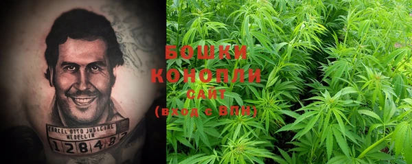 прущие крисы Анива