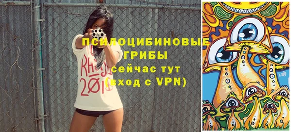 крисы Беломорск