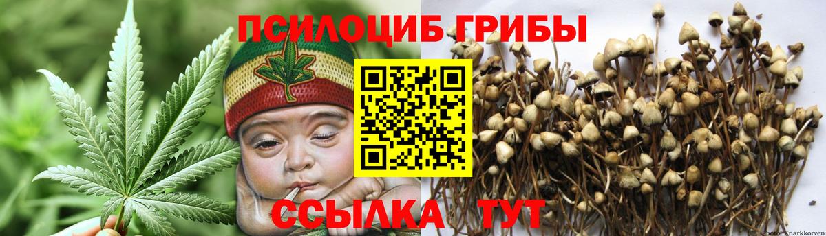 Псилоцибиновые грибы Cubensis  Вход с VPN  Галлюциногенные грибы мицелий  Буйнакск 